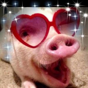 Meet your Posher, Brenda